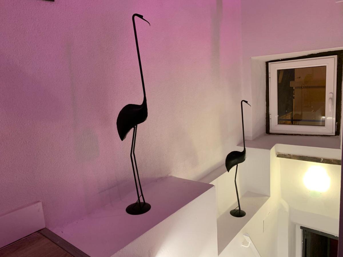 Casita Del Flamingo En Casco Historico Villa Alicante Eksteriør bilde